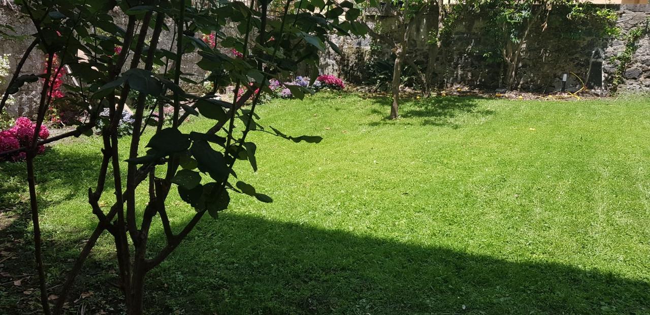 Vesuvius Gardens - Fagianeria Borbonica Relais Bed & Breakfast Ерколано Екстериор снимка