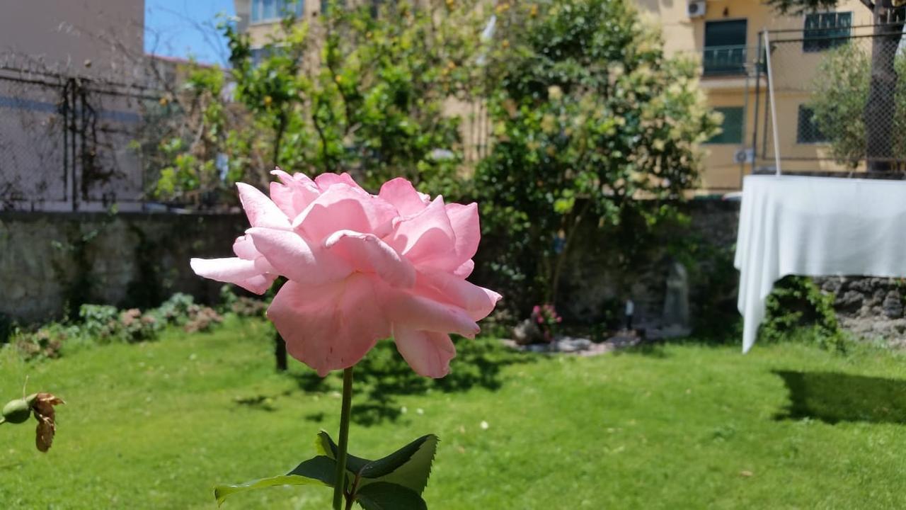 Vesuvius Gardens - Fagianeria Borbonica Relais Bed & Breakfast Ерколано Екстериор снимка